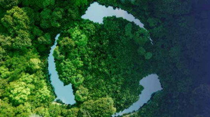 Our Sustainability Journey